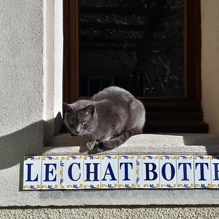 Le Chat Botté - Vankantiehuis In Languedoc-roussillion Couette-café